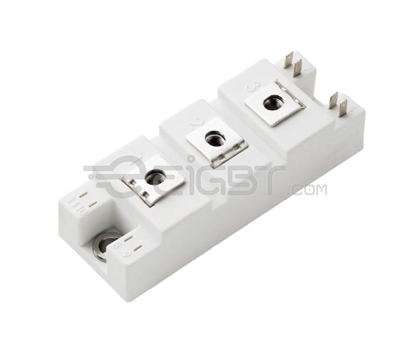 MG06100S-BR1MM Series - 600V 100A IGBT Module