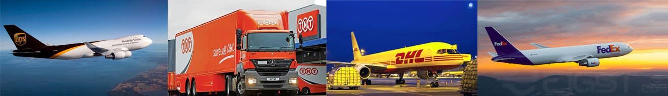 Global Shipment by DHL/FedEx/TNT/UPS